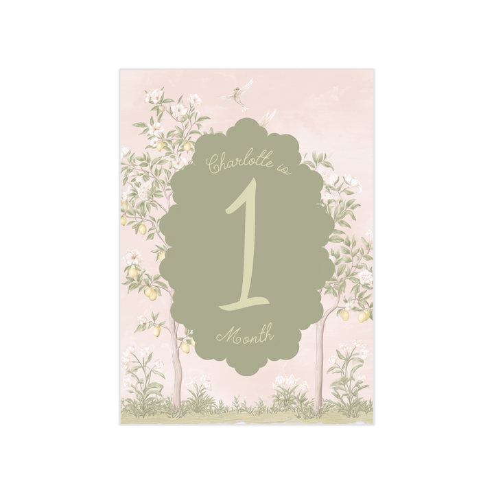 Pink Chinoiserie Custom Milestone Markers