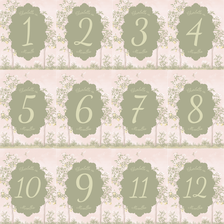 Pink Chinoiserie Custom Milestone Markers