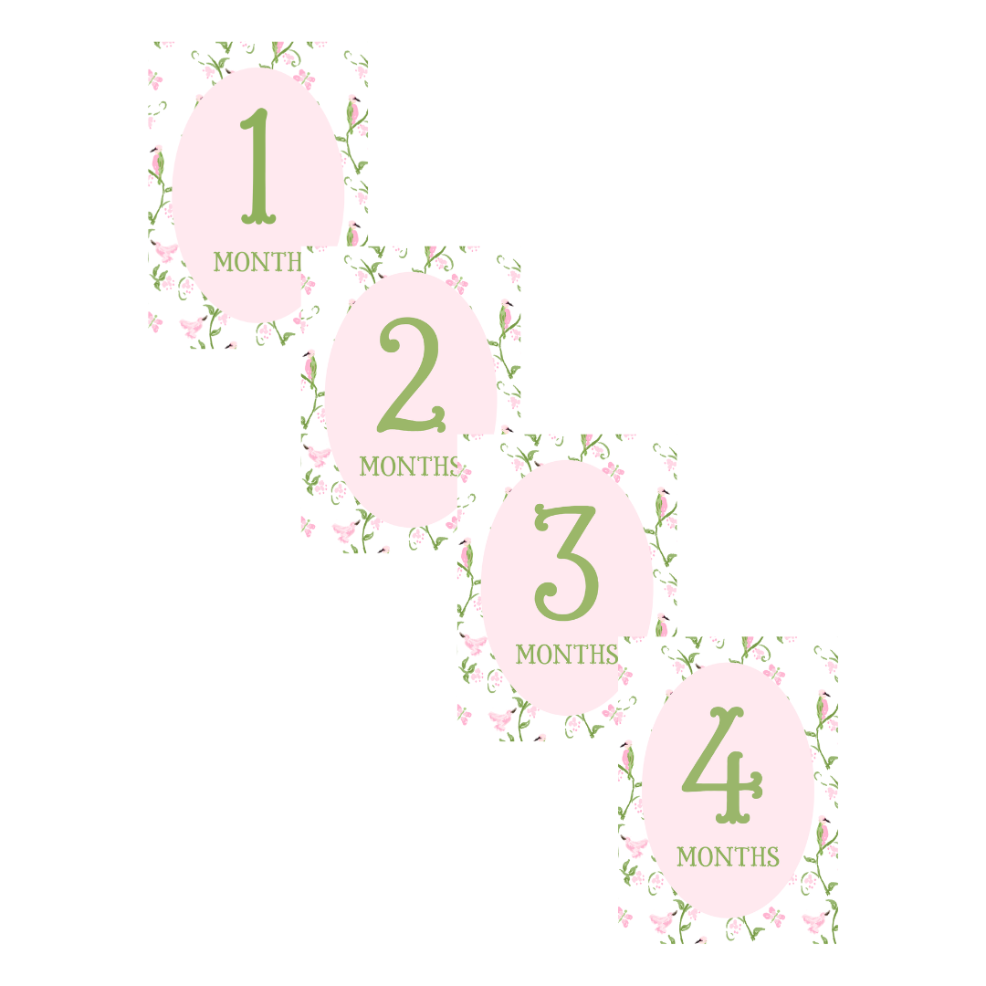 Chinoiserie Custom Milestone Markers