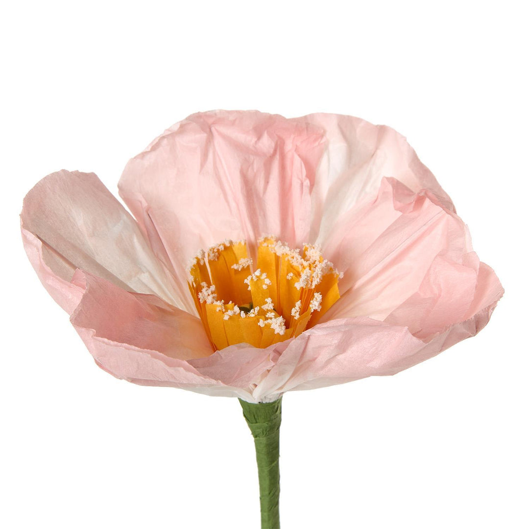 Paper Flowers