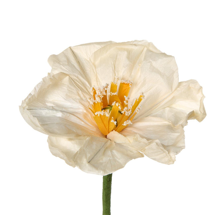 Paper Flowers