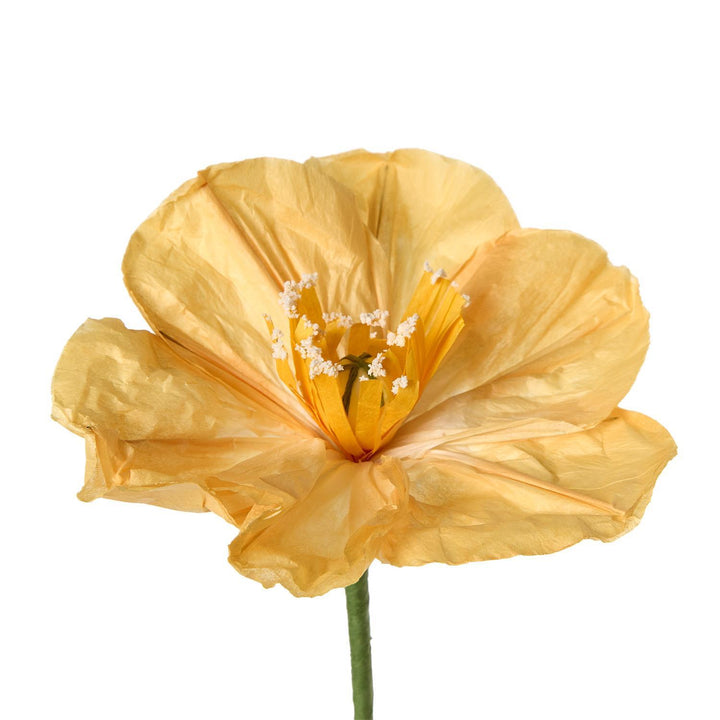 Paper Flowers