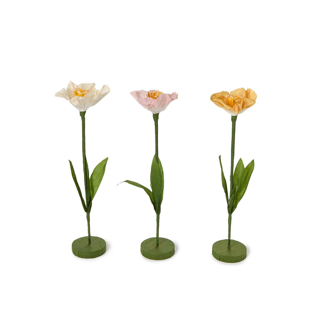 Paper Flowers