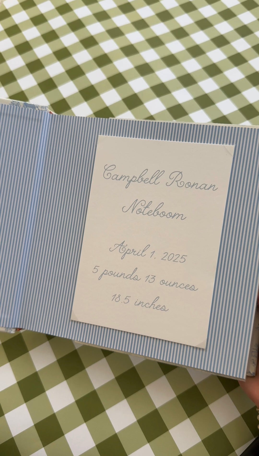 Personalized Toile Baby Photo Album